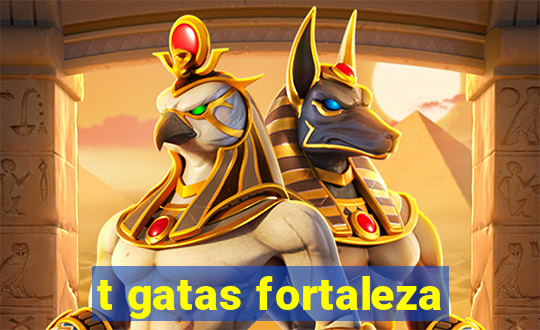 t gatas fortaleza